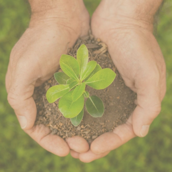 Sustentabilidade favorece crescimento da construção civil